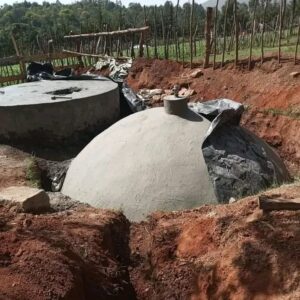 Biogas System