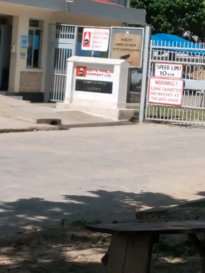 WhatsApp Image 2025-03-04 at 22.11
